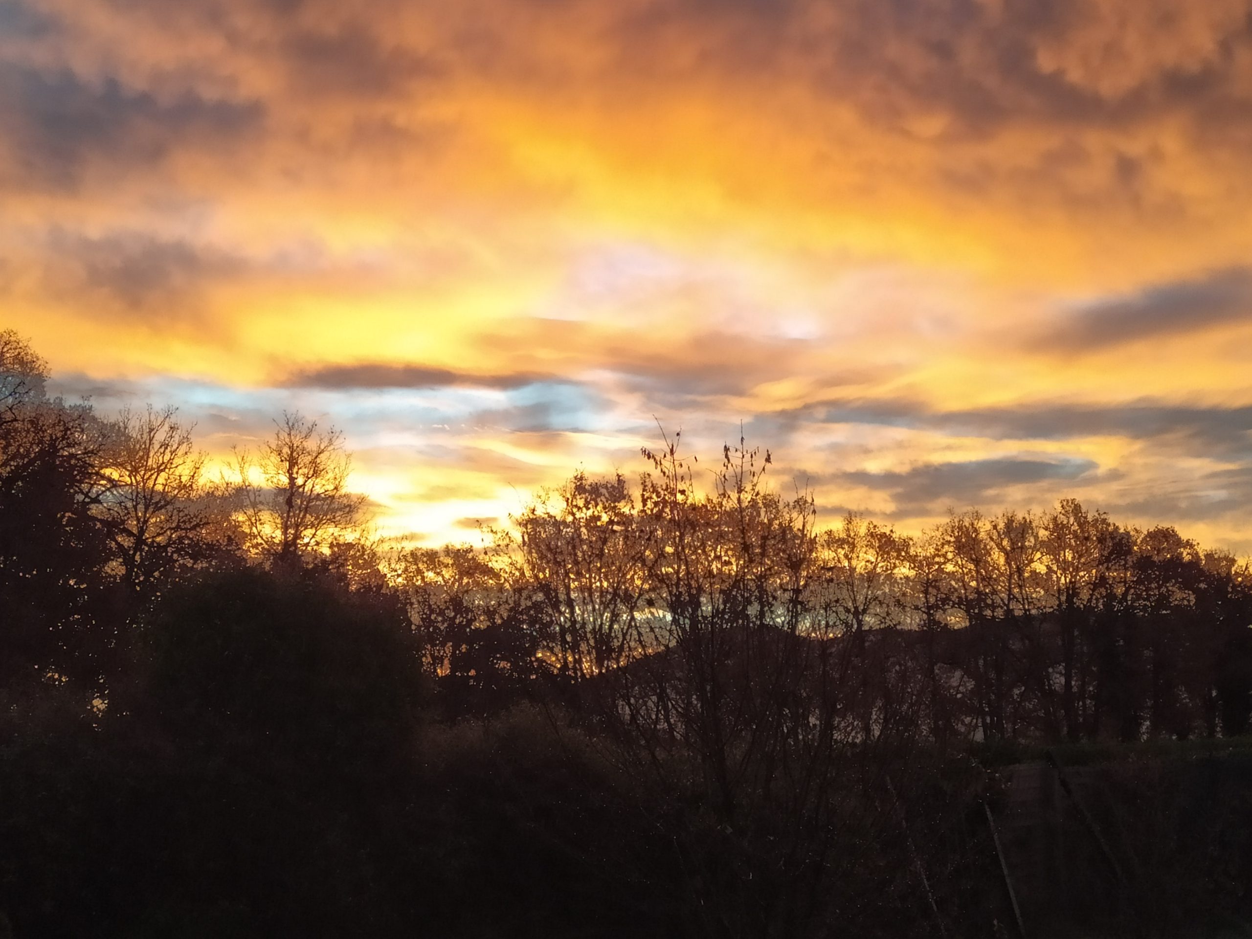 Dryades lever soleil jaune