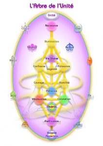 HarmoniEvolution Arbre de l'unité