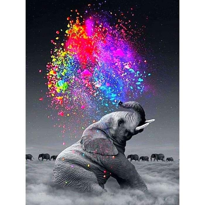 éléphant gris pouissières coleurs éléphant poussières colorées