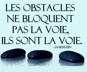 Les obstacles ne bloquent pas la voie. Ils sont la voie.