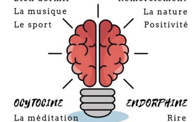 Création consciente de ta réalité en 2024 !