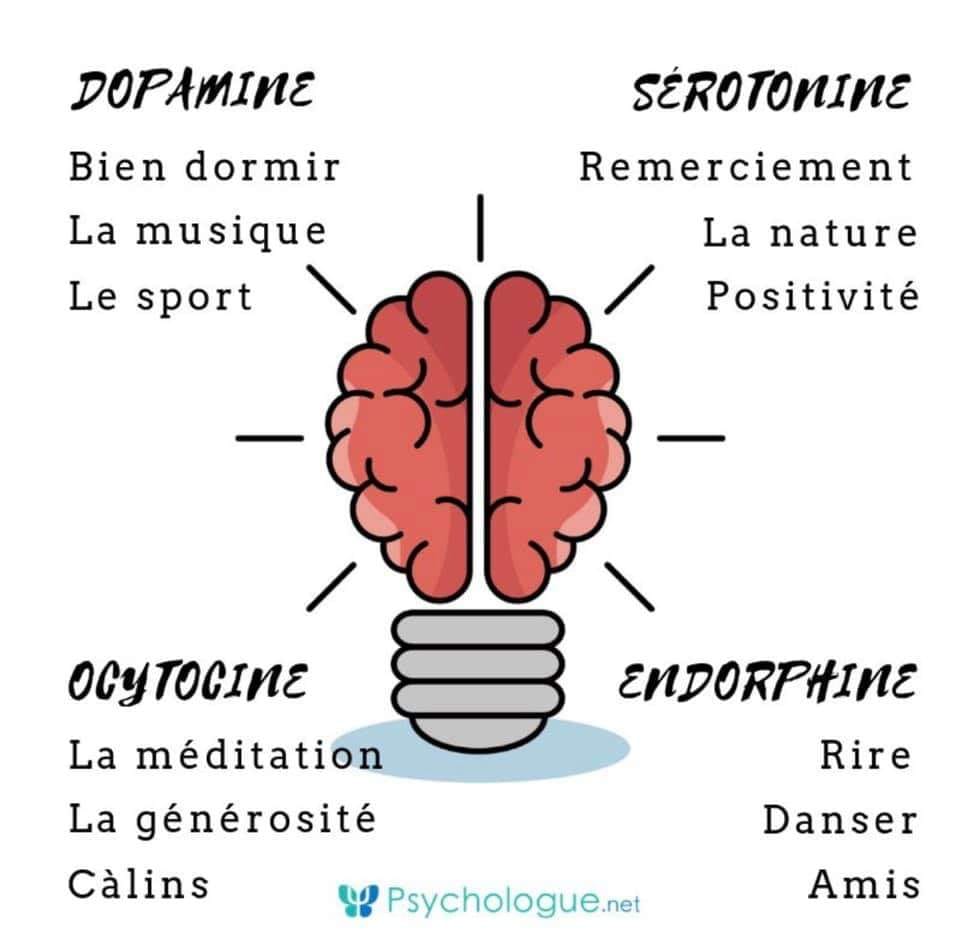 hormones du bonheur