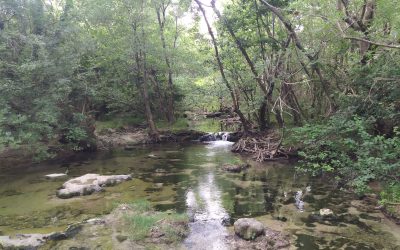 L’importance de se connaître