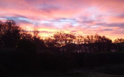 Faire grandir l’Amour !