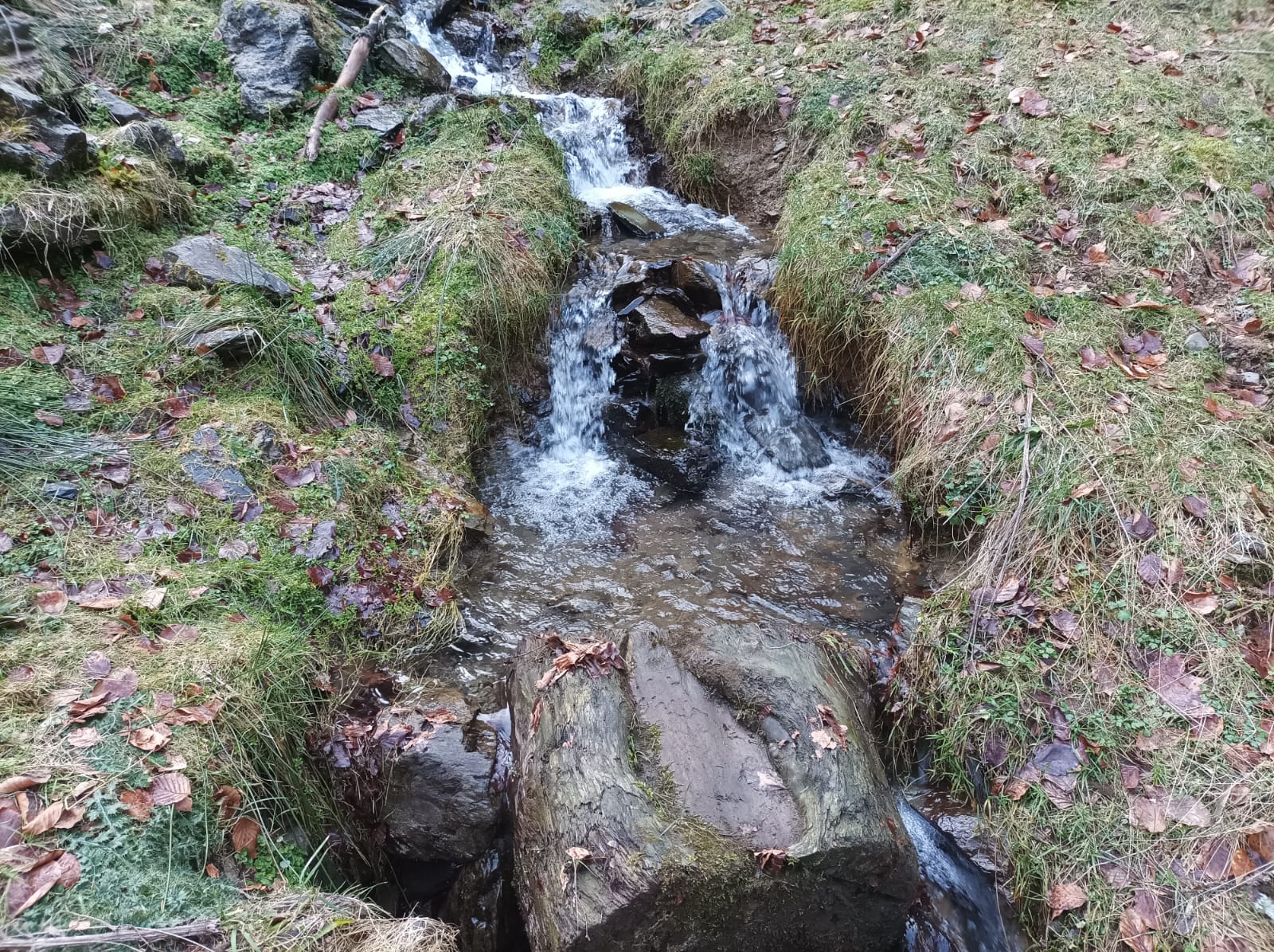 rivière 2502 personnage