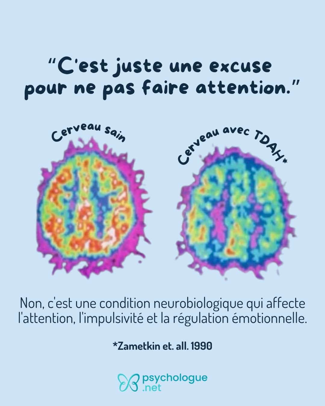 psychologue net 2 cerveau tdah