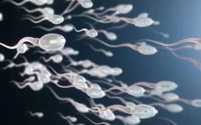 Pourquoi l’éjaculation fatigue autant ?