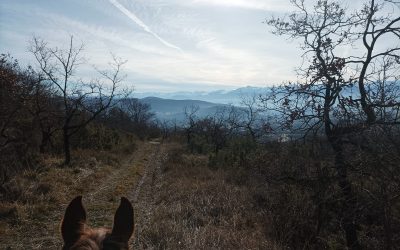 Qu’écoutes-tu en toi ? Comment t’accueilles-tu ? Que suis-tu ?