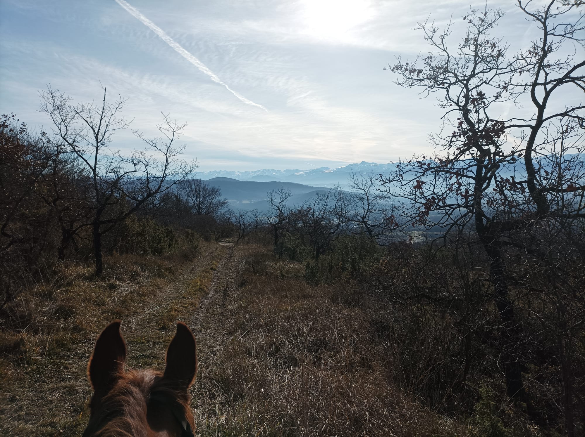 point de vue Nad’Or 2601