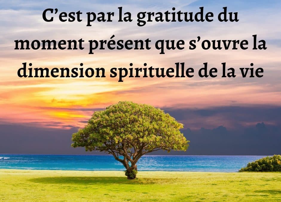 Envie de jouir pleinement de ton présent ?