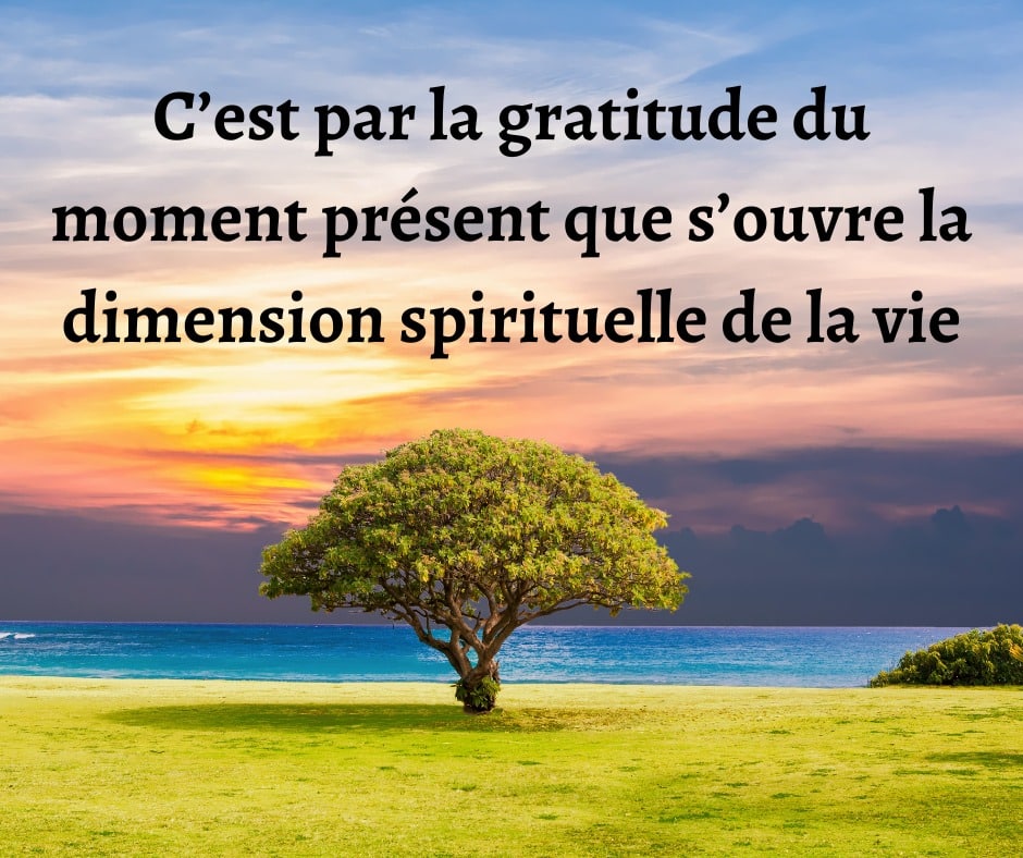 Envie de jouir pleinement de ton présent ?